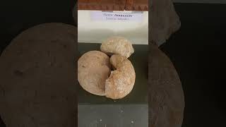 Important Rock, Fossil & Mineral Samples with name in Tamilnadu , Madhya pradesh