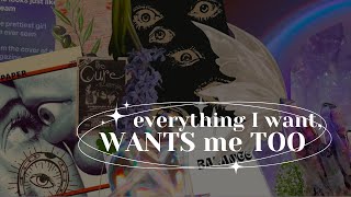 "everything I want, wants me too" blockage remover & mindset booster subliminal (calm 432Hz)