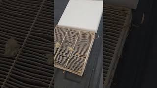 How to change a cabin air filter in 2015 GMC Sierra 3500 Denali