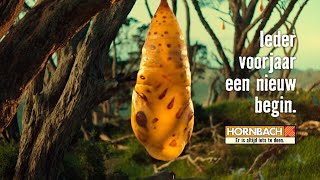 Ieder voorjaar een nieuw begin. | HORNBACH Nederland