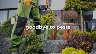 Natural Pest Control Methods for a Thriving Garden