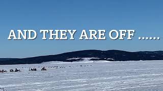 OUR FIRST DOG SLED RACE CHARLOTTETOWN MARCH 12 2022