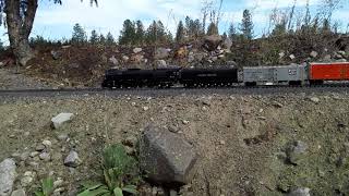 #705 running with a train