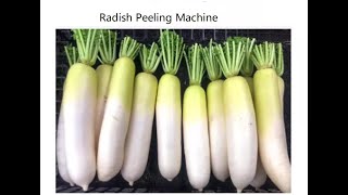 Automatical Radish Peeling Machine for Kimchi