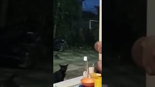 MENIKMATI BUKA PUASA  DENGAN MAKANAN YANG DI MASAK DI KEBUN