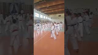 wróciłem #karate