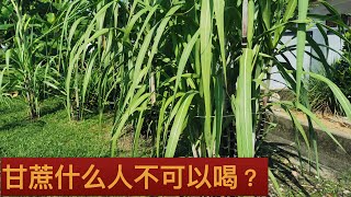 中医理论中吃甘蔗的好處是什么？ Sugarcane Juice。