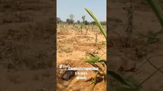 5.14 acers agriculture land near Nanded Highway #agriculturelandforsale #highway #farmhouse #viral