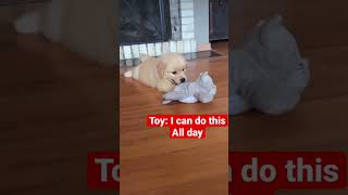 Dog : bite the toy with such a force