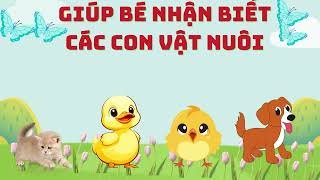 Con gì đây?Dạy bé nhận biết các con vật nuôi/Dạy bé học động vật/Dạy bé học/Mèo con đi học TV