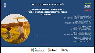 ¿Cómo se retroalimenta al SIPINNA desde la atención de casos para hacer efectiva la coordinación?