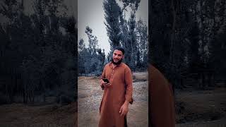 Zaban🥀#kashmiri  #viralkashmir #viralkashmirivideos #walk #islamic #islamicstatus #deenislam