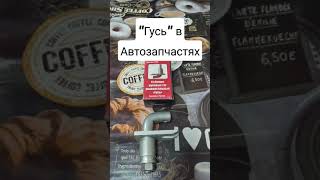 "Гусь" в Автозапчастях #shorts