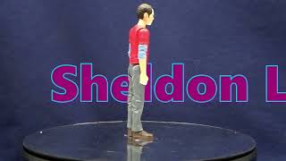 The  Big Bang Theory Figures