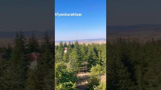 #travelvlog #travel #türkiye #anadolu #orman #forest