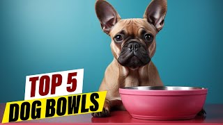 5 Must-Have Dog Bowls for Every Dog Owner: Tips and Tricks