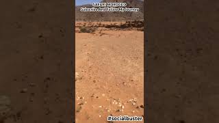 Safari Morocco #safari #morocco #africa #desert #shortvideo #sea #bluesky #sand #socialbuster #viral