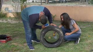 Eliminación de criaderos de mosquitos