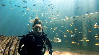 🇧🇪 Indoor scubadiving in Todi, Beringen