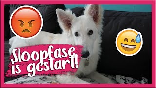 DE SLOOPFASE IS GESTART!! WEEKVLOG 4 2023