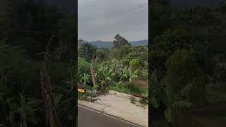 indahnya pemandangan ada sawah sawah