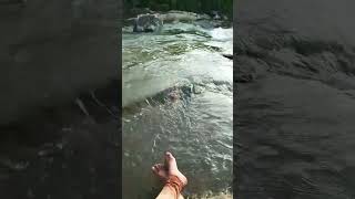 What it is to be like sitting beside a stream #stream #riverstream #peace #kerala #shorts