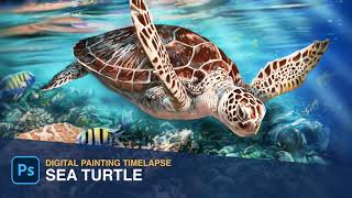 Drawing Shining through the Tides - Sea Turtle | Digital Painting Timelapse