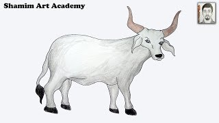 How to Draw Cow  Pencil Drawing Cow Very Easy