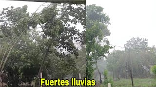 Nos agarro la lluvia trabajando fuertes vientos asotan los arboles😱