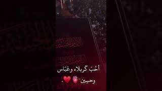 احب كربلاء والحسين (ع)والعباس(ع) #قانون