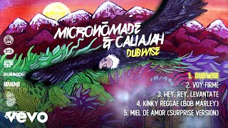 Micronomade, CaliaJah - Dubwise (Official Full Album Video)