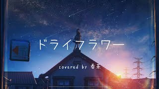 優里 Yuuri - Dried Flower ドライフラワー (Cover by. Harutya) Lyrics Video