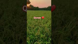 Quraan ❤️ #viralvideo #trending #love #shorts #shortsfeed #shortvideo #short #shortsvideo #reels