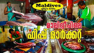 മാലിദ്വീപിലെ ഫിഷ് മാർക്കറ്റ് | Maldives Fish Market | Part-8 #Maldives #Quarantine