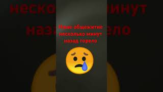 А если на Нижнем этаже там были животные?!