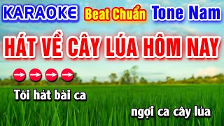 Hát Về Cây Lúa Hôm Nay Karaoke Beat Chuẩn Tone Nam - Hà My Karaoke