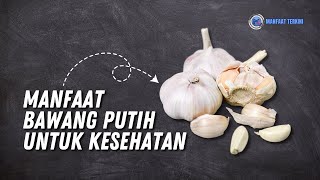 MANFAAT BAWANG PUTIH UNTUK KESEHATAN | MANFAAT TERKINI