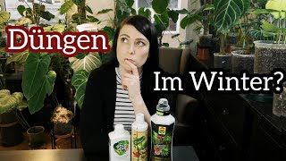 Düngen im Winter | wie oft ihr eure Zimmerpflanzen düngen solltet (auch seltene raritäten)