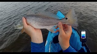 OBX Marsh Micro Fishing and a Cobia Attempt