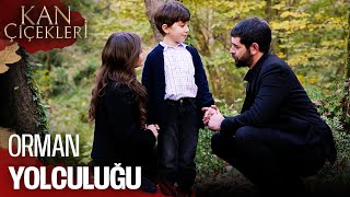 Çınar'ın Gönlünü Almaya Çalışıyorlar - Kan Çiçekleri 389. Bölüm