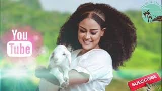 Eritrean Music - Estifanos Zemach - Fkri Felema (ፍቅሪ ፈለማ)