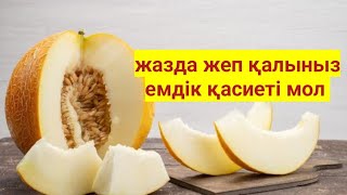 Емдік қасиеті көп! Қауынды жеп үлгерініз! Қауынның пайдасы👇