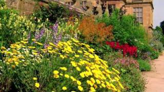 Pruning perennials