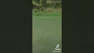 Holy Backspin #golf #pga