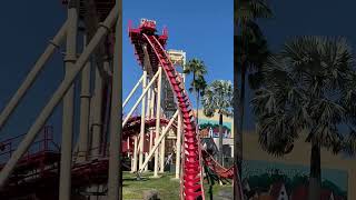 Rip Ride Rockit #rollercoaster #shorts #coffindance