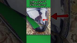 Who is boots polishia/Qadmo mn  tery Jeena Marna/Shahbaz sharif/madum Noor Jahan/#funny/#shorts/#ik