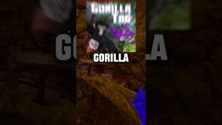 #gorillatag