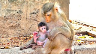 To See Poor Mother Juta Gets Hungry Feels Very Pity, Juta Sits And Feeds Fresh Milk For Baby