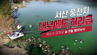 [낚시가 좋다] 서산 풍전지에서 낮낚시에 4짜급 붕어 / 옥수수 미끼