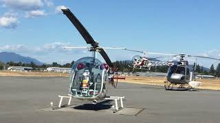 Iconic Bell 47 at Abbotsford Airport - Chinook Helicopters